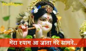 Mera Shyam Aa Jata Mere Samne Lyrics