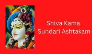 shiva kama sundari ashtakam