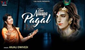 Tere Naam Ke Pagal Hain Lyrics