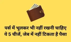 पर्स में भूलकर भी नहीं रखनी चाहिए ये 5 चीजें, जेब में नहीं टिकता है पैसा